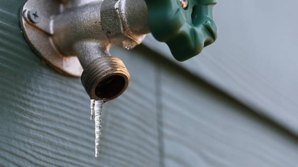 Best Septic Systems  in Ellitt, CO